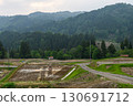 Rural landscape with mountains and rice fields 130691712