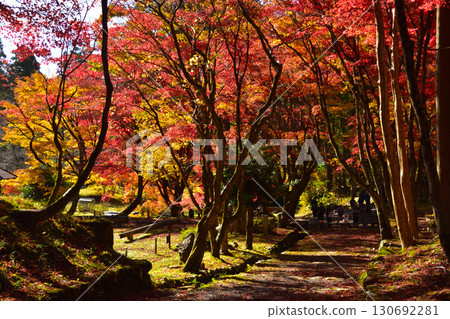 Autumn, Kita-Omi, Keisokuji Temple Autumn, Kita-Omi, Keisokuji Temple 130692281