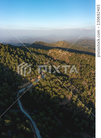 Winding mountain road through lush pine forest in Cyprus 130692405
