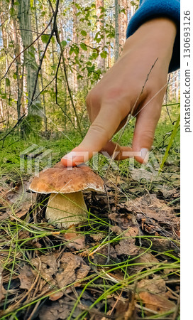 Hand gently touching a wild mushroom in a lush forest setting surrounded by greenery Hand gently touching a wild mushroom in a lush forest setting surrounded by greenery 130693126