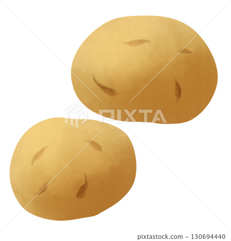 Two potatoes illustration 130694440