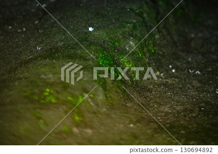 Yoshimi 100 Caves 130694892