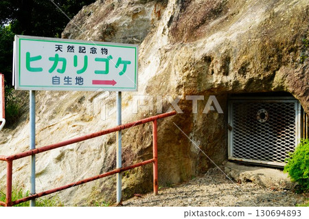 Yoshimi 100 Caves Yoshimi 100 Caves 130694893