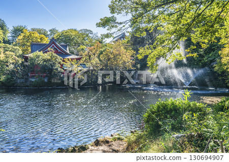 井之頭公園和井之頭池的鬱鬱蔥蔥的風景[東京都武藏野市 - 三鷹市] 130694907