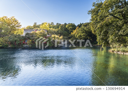 井之頭公園和井之頭池的鬱鬱蔥蔥的風景[東京都武藏野市 - 三鷹市] 130694914