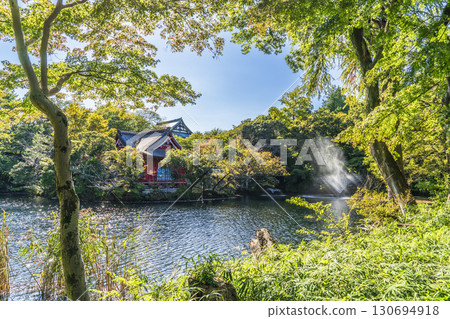 Scenery of Inokashira Park and Inokashira Pond: Benzaiten surrounded by trees [Tokyo, Musashino City - Mitaka City] 130694918