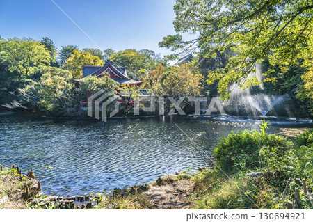 井之頭公園和井之頭池的鬱鬱蔥蔥的風景[東京都武藏野市 - 三鷹市] 130694921