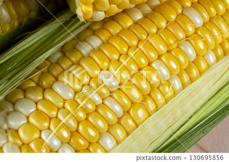 Macro shot of fresh raw corn cobs with green leaves. 130695856