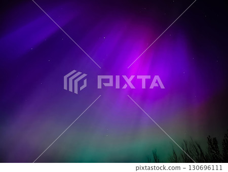 Magical and vibrant aurora borealis, Northern lights, glowing in a celestial display over a dark forest silhouette 130696111