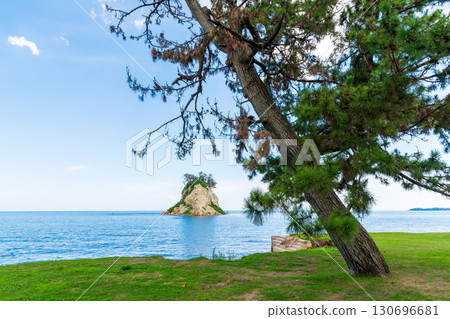 Mitsuke Island in midsummer and the pine trees in Mitsuke Park dying due to seawater intrusion caused by land erosion 130696681