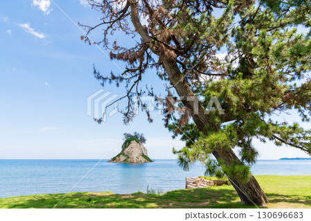 Mitsuke Island in midsummer and the pine trees in Mitsuke Park dying due to seawater intrusion caused by land erosion Mitsuke Island in midsummer and the pine trees in Mitsuke Park dying due to seawater intrusion caused by land erosion 130696683