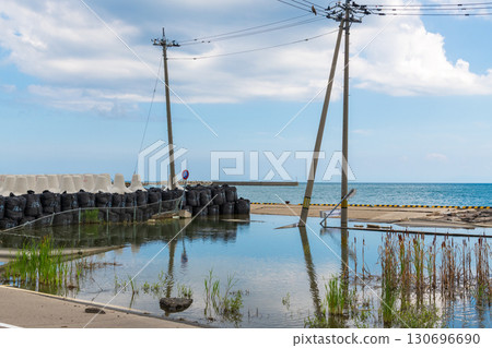 A view of Iida Port one year and eight months after the disaster, where seawater and rainwater have not drained and plants are thriving. 130696690