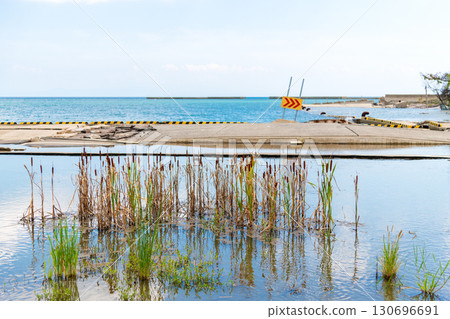 A view of Iida Port one year and eight months after the disaster, where seawater and rainwater have not drained and plants are thriving. A view of Iida Port one year and eight months after the disaster, where seawater and rainwater have not drained and plants are thriving. 130696691