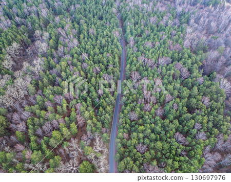 Aerial view of road in beautiful autumn forest at sunset. Beautiful landscape with empty rural road, trees with red and orange leaves. Aerial view of road in beautiful autumn forest at sunset. Beautiful landscape with empty rural road, trees with red and orange leaves. 130697976