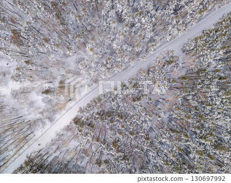 Aerial view of the road in the winter forest with high pine or spruce trees covered by snow. Driving in winter. 130697992