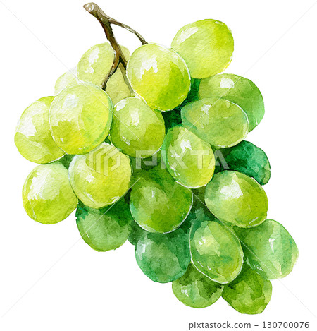 一串綠葡萄的水彩插圖，馬斯喀特風格的水果材料，PNG剪貼畫 130700076