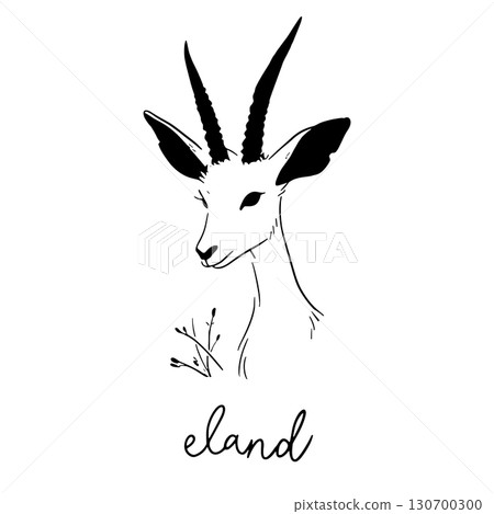 Eland. Eland simple black and white line art vector logo Eland. Eland simple black and white line art vector logo 130700300