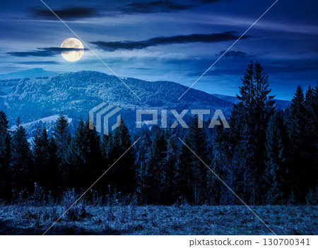 landscape with coniferous forest behind the meadow in autumn at night. nature background with blue sky and mountain ridge in full moon light. alpine woodland 130700341