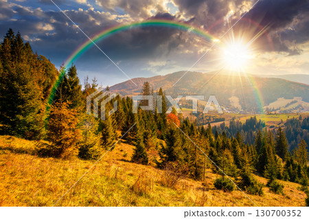 landscape with coniferous forest behind the meadow in autumn at sunset. nature background with blue sky and mountain ridge in evening light. alpine woodland 130700352