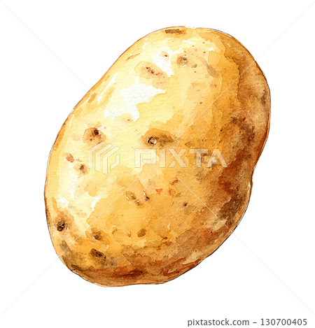 Watercolor potato illustration, vegetable ingredients, PNG cutout 130700405
