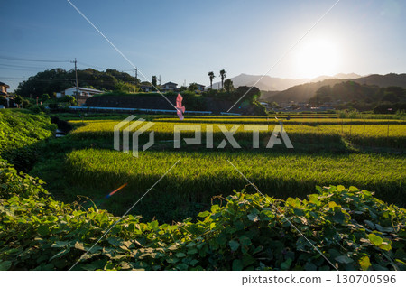 Evening rural scenery in Kamifurosawa, Atsugi City 130700596