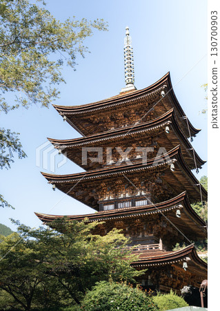 Five-story pagoda of Rurikoji Temple Five-story pagoda of Rurikoji Temple 130700903