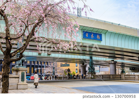 Tokyo Chuo Ward Nihonbashi and cherry blossoms Tokyo Chuo Ward Nihonbashi and cherry blossoms 130700958