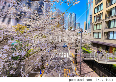 東京都港區赤坂一丁目的櫻花 130701004