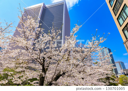 東京都港區赤坂一丁目的櫻花 130701005