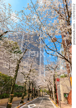 東京都港區赤坂一丁目的櫻花 東京都港區赤坂一丁目的櫻花 130701012