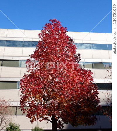 野村不動產橫濱商業園秋葉Momiji Bafu 130701059