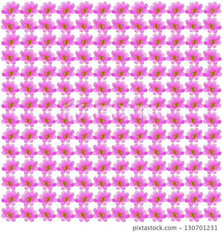 波斯菊花壁紙插畫 波斯菊花壁紙插畫 130701231