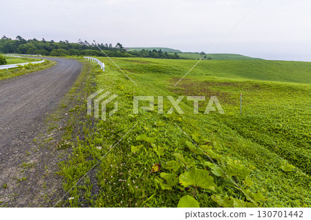 【北海道_釧路_白羽岬】讓人想深呼吸，舒緩身心的避暑勝地。 7月 130701442