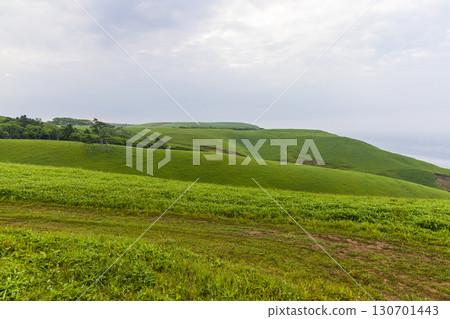 【北海道_釧路_白羽岬】讓人想深呼吸,舒緩身心的避暑勝地。 7月 【北海道_釧路_白羽岬】讓人想深呼吸,舒緩身心的避暑勝地。 7月 130701443