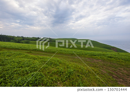 【北海道_釧路_白羽岬】讓人想深呼吸,舒緩身心的避暑勝地。 7月 【北海道_釧路_白羽岬】讓人想深呼吸,舒緩身心的避暑勝地。 7月 130701444