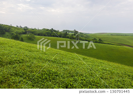 【北海道_釧路_白羽岬】讓人想深呼吸,舒緩身心的避暑勝地。 7月 【北海道_釧路_白羽岬】讓人想深呼吸,舒緩身心的避暑勝地。 7月 130701445