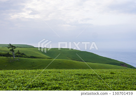 [Hokkaido_Kushiro_Cape Shiriha] A summer resort that will make you want to take a deep breath and soothe your mind and body. July 130701459