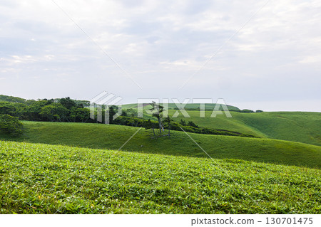 [Hokkaido_Kushiro_Cape Shiriha] A summer resort that will make you want to take a deep breath and soothe your mind and body. July 130701475