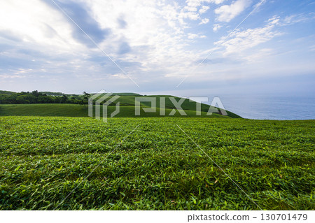 [Hokkaido_Kushiro_Cape Shiriha] A summer resort that will make you want to take a deep breath and soothe your mind and body. July 130701479