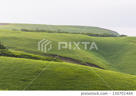 [Hokkaido_Kushiro_Cape Shiriha] A summer resort that will make you want to take a deep breath and soothe your mind and body. July 130701484