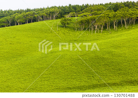 [Hokkaido_Kushiro_Cape Shiriha] A summer resort that will make you want to take a deep breath and soothe your mind and body. July 130701488