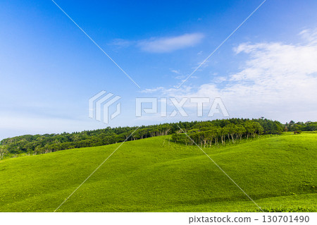 【北海道_釧路_白羽岬】讓人想深呼吸，舒緩身心的避暑勝地。 7月 130701490