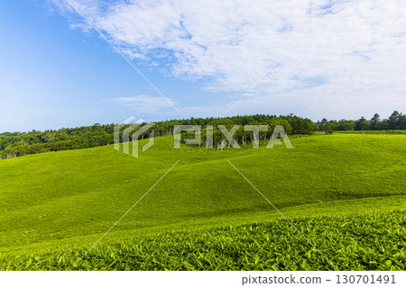 【北海道_釧路_白羽岬】讓人想深呼吸,舒緩身心的避暑勝地。 7月 【北海道_釧路_白羽岬】讓人想深呼吸,舒緩身心的避暑勝地。 7月 130701491