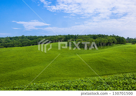 [Hokkaido_Kushiro_Cape Shiriha] A summer resort that will make you want to take a deep breath and soothe your mind and body. July 130701500