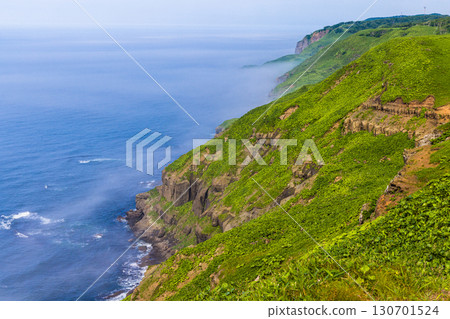 [Hokkaido_Kushiro_Cape Shiriha] A summer resort that will make you want to take a deep breath and soothe your mind and body. July 130701524