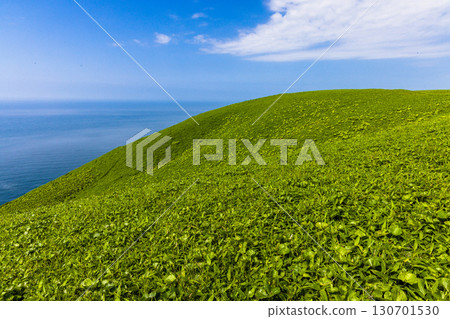 [Hokkaido_Kushiro_Cape Shiriha] A summer resort that will make you want to take a deep breath and soothe your mind and body. July 130701530