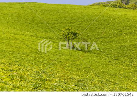 [Hokkaido_Kushiro_Cape Shiriha] A summer resort that will make you want to take a deep breath and soothe your mind and body. July 130701542
