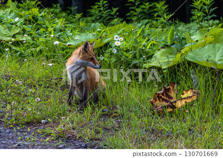 [Hokkaido_Kushiro_Cape Shiriha] A summer resort that will make you want to take a deep breath and soothe your mind and body. July 130701669