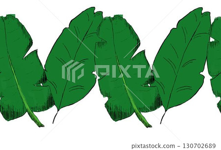 Jungle Banana leaves seamless border graphic plants botanical vector illustration 130702689