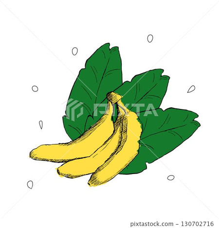 Vector vintage composition with exotic banana and leaves. Graphic illustration. Perfect for wallpapers, web page backgrounds, surface textures, textile. Vector vintage composition with exotic banana and leaves. Graphic illustration. Perfect for wallpapers, web page backgrounds, surface textures, textile. 130702716